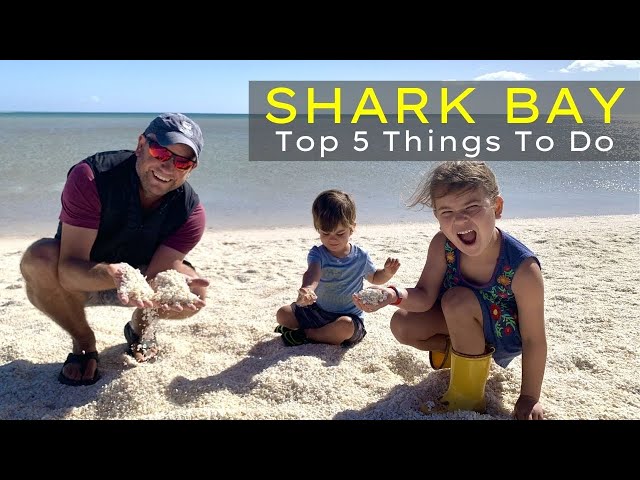 Shark Bay Western Australia - Top 5 Things To Do!