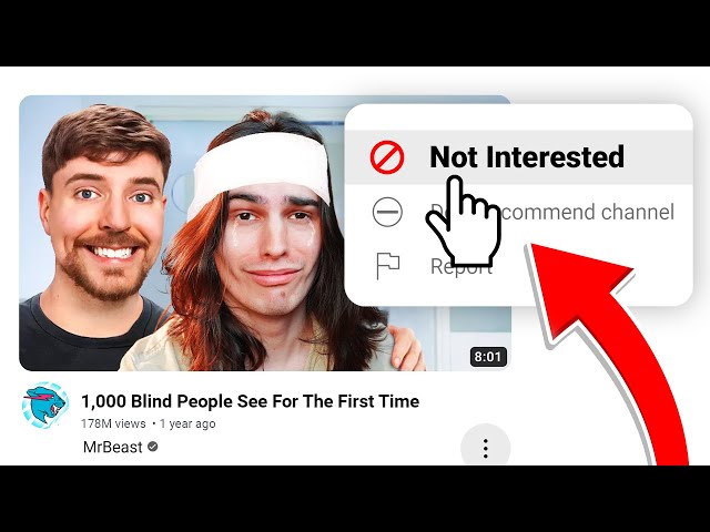 I Pressed "Not Interested" on 1,000 YouTube Videos