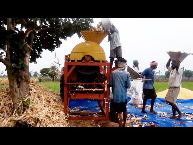 Corn Peeling Machine Working | How Its Made | Agriculture Machines | KNP Tech TV