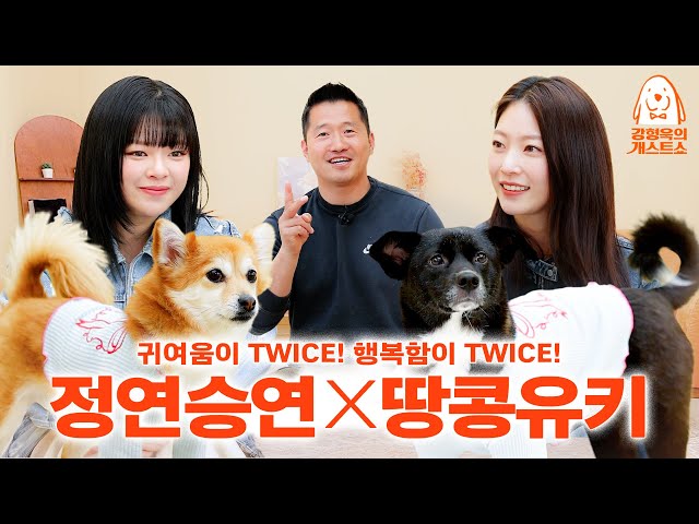 Twice Jeongyeon and Seung-yeon fighting while talking about dogs [Kang's Dog Guest Show] EP.27