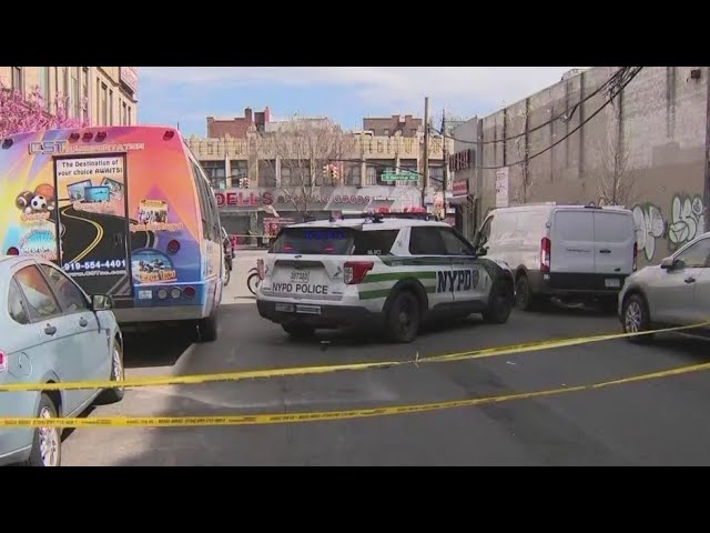 Man killed while confronting robber in Bronx: police