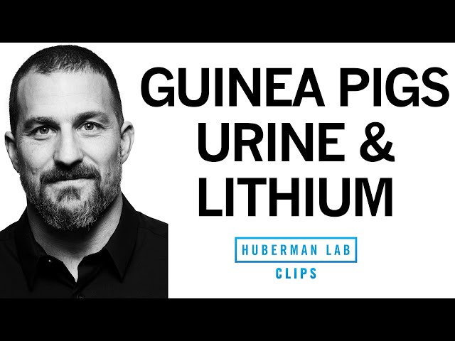 What's the History of Lithium? How Does It Treat Bipolar Disorder? | Dr. Andrew Huberman