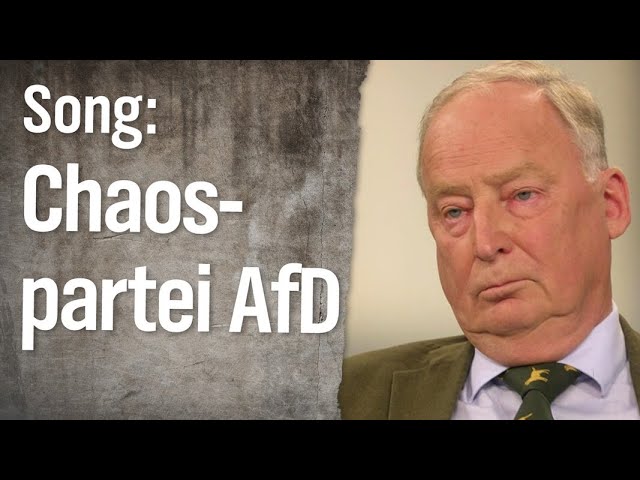 Song: Chaos-Partei AfD | extra 3 | NDR