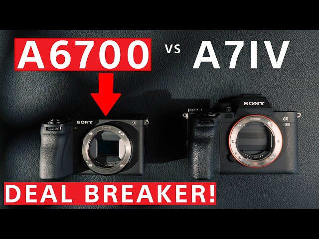 Sony a6700 vs Sony A7IV- HYBRID BATTLE!