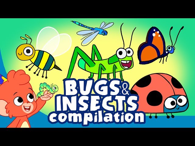 Learn Insects and Bugs for Kids | Cute Insect a to z Cartoon Compilation | Club Baboo