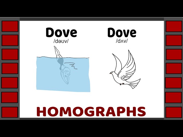 Homographs | Examples of 25 homograph pairs | English Vocabulary | Homophones | Homonyms
