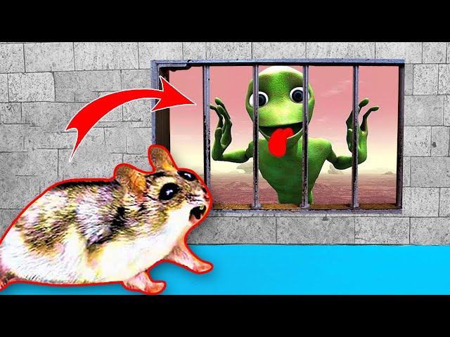 🐹 Dame Tu Cosita Alien vs cute Hamster pets 🐹 Series Hamster Stories OBSTACLE COURSE 😱