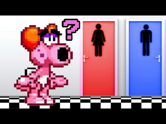 Beyond Pink: Birdo’s Gender