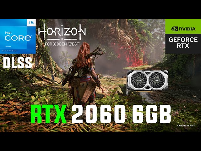Horizon Forbidden West RTX 2060 6GB (All Settings Tested 1080p DLSS)