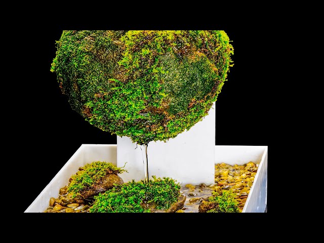 Self-Watering Moss Globe (Satisfying and Relaxing Build)