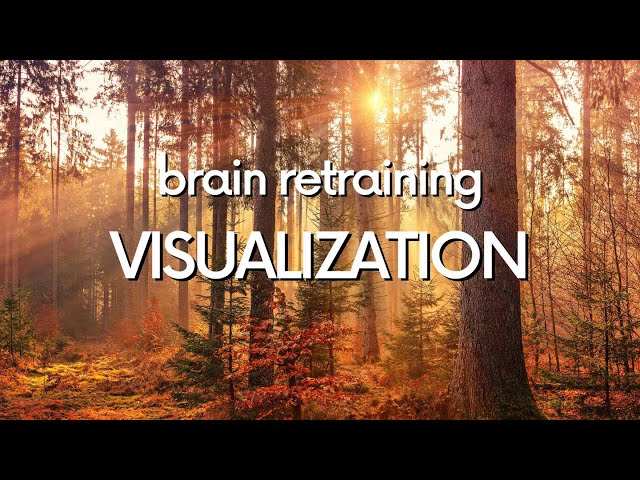 Brain Retraining Visualization | DNRS Program, Gupta Program, Etc. | Example 3