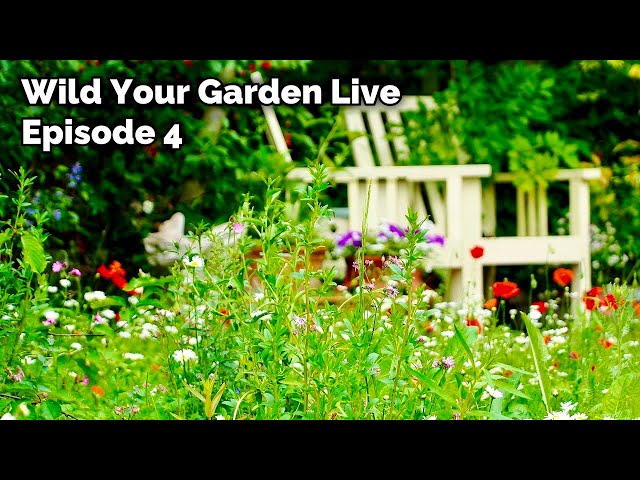 Wild Your Garden LIVE - Episode 4