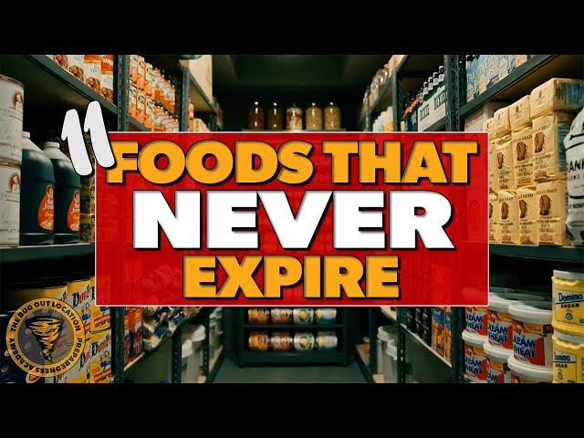 11 Foods To STOCKPILE That NEVER Expire!
