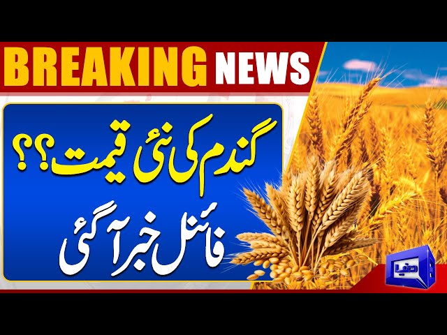 BREAKING!! Big News Regarding Sale And Purchase Of Wheat | Dunya News