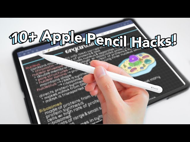 The Best Apple Pencil Tips & Tricks! 🍎✏️