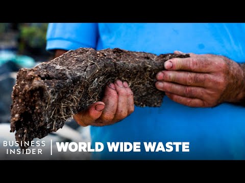 How Logs of Fruit Pulp Replace Firewood and Charcoal | World Wide Waste