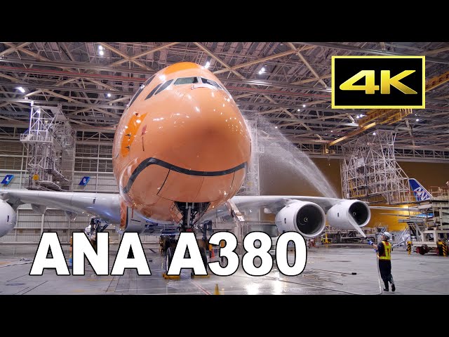[4K] ANA A380 "FLYING HONU" 3号機をきれいに！ 定期便での運航開始を前に機体を洗浄 / 成田空港 JA383A