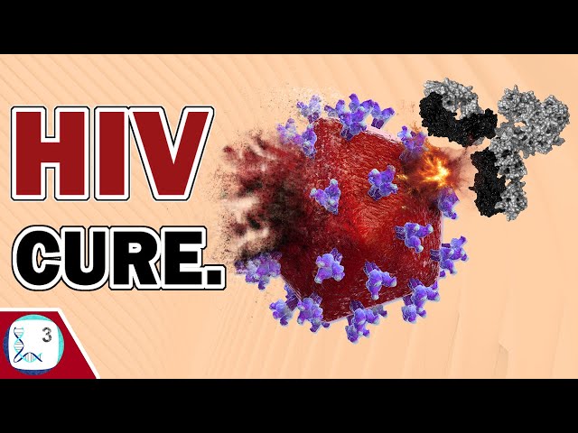 Can the New HIV Cures Stop HIV?