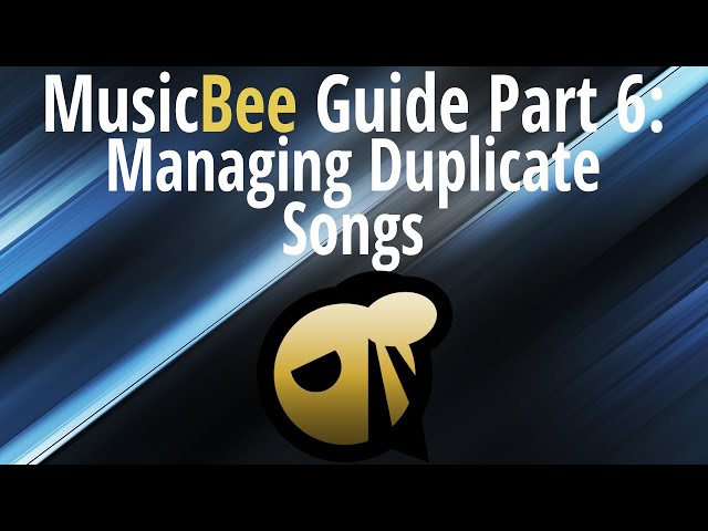 MusicBee Guide Part 6: Managing Duplicate Songs