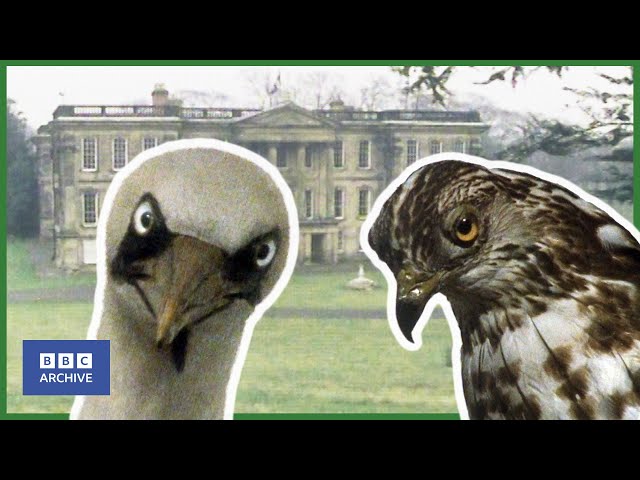 1984: The HOUSE where TIME STANDS STILL | Blue Peter | Weird and Wonderful | BBC Archive