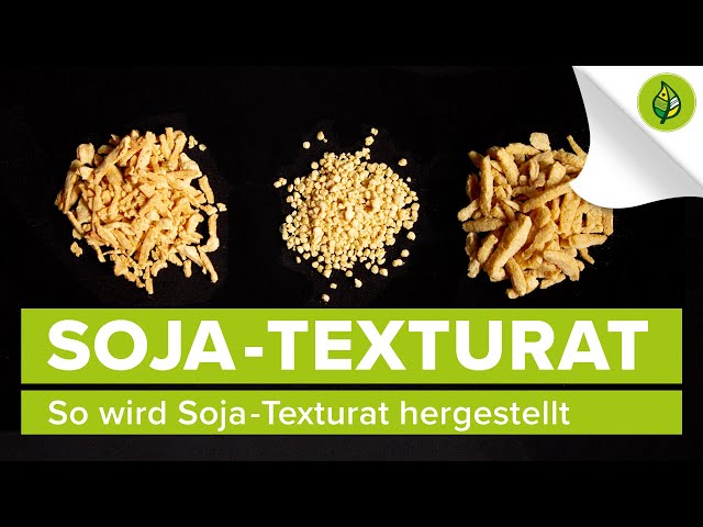 So wird Soja-Texturat hergestellt