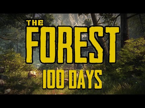 I Spent 100 Days in The Forest and Here's What Happened