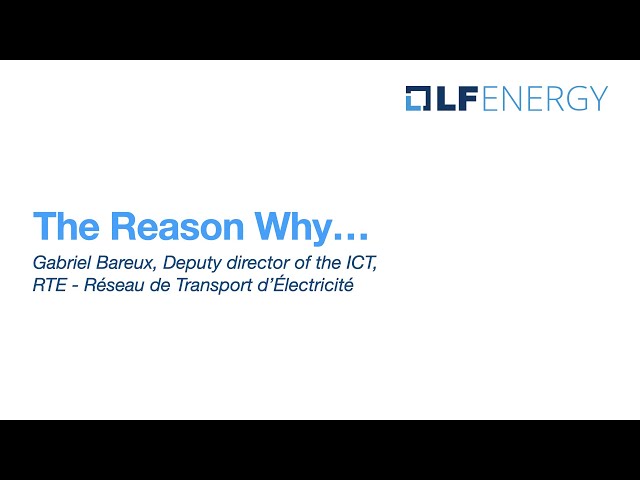 The Reason Why… Gabriel Bareux, Deputy director of the ICT, RTE - Réseau de Transport d’Électricité