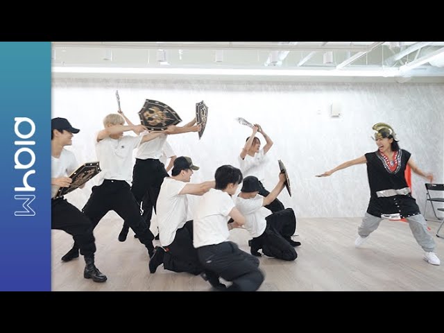 김남주 'Bird' 안무 연습 영상 (Choreography Practice Video) Costume Ver.