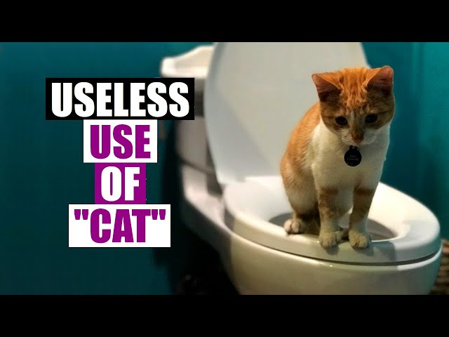 Useless Use Of Cat Isn't Useless