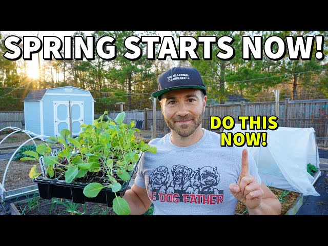 Why FEBRUARY Is The MOST IMPORTANT Month In Gardening: Start NOW!
