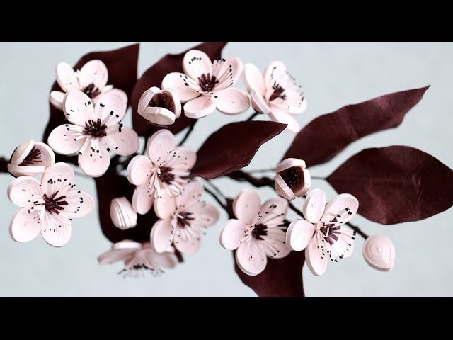 Cherry Flower Quilling - Fleurs de cerisier en quilling