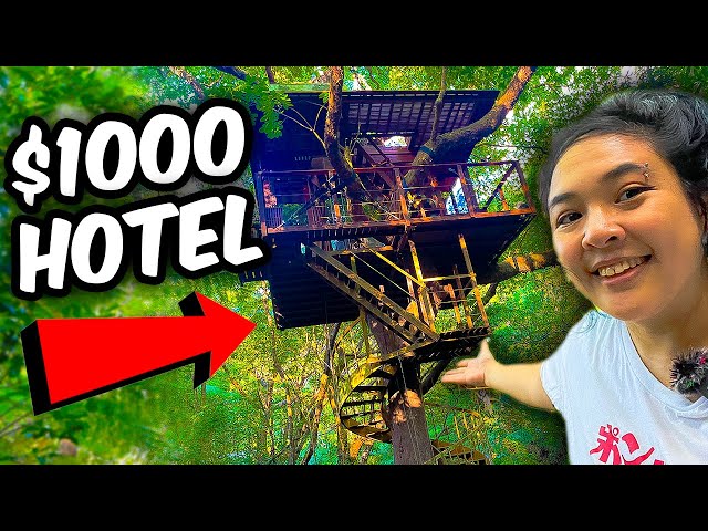 I Stayed at Japan's Treehouse Hotel