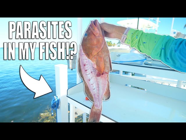 I Found PARASITES in My Fish | 2 Night Fishing Trip Goes Home Early