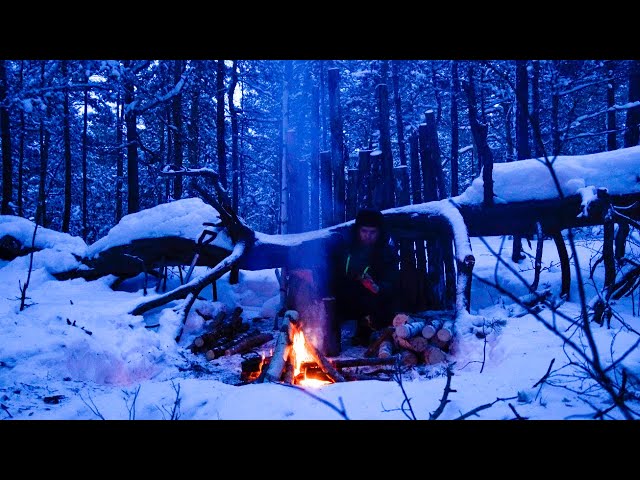 16 Days of Solo Camping - Winter Camps in The Wild Forest of 2024