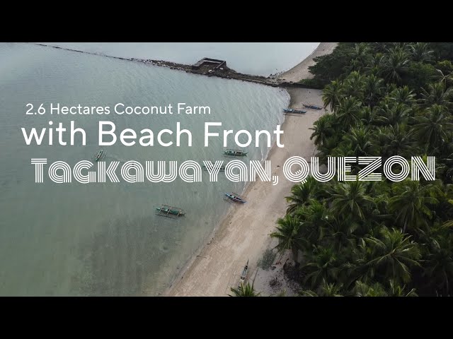 Lot #5| 2.6 Hectares Coconut farm w/ Beach front in available in Tagkawayan, Quezon
