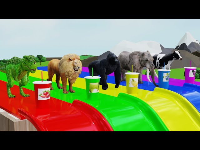 Choose the Right Drink with Elephant Duck Gorilla Tiger Dinosaurs Fountain Crossing Animals Game