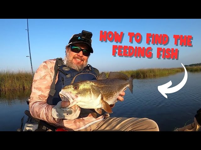 How To Find Feeding Fish [Best Advice For Inshore Saltwater Anglers]