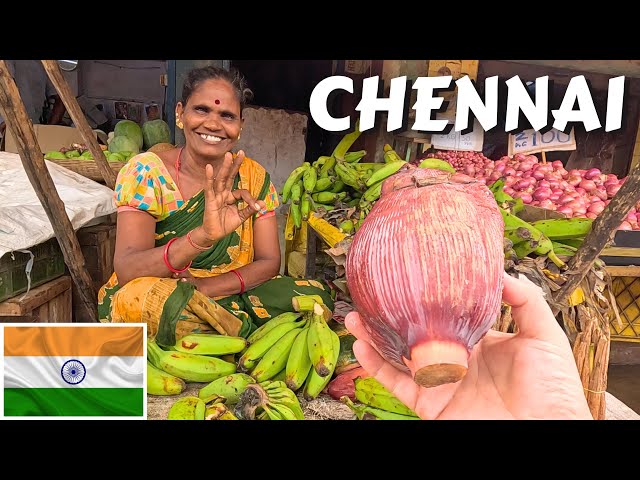 Are Indian Shop Keepers Honest In Chennai? Bharat, India 🇮🇳