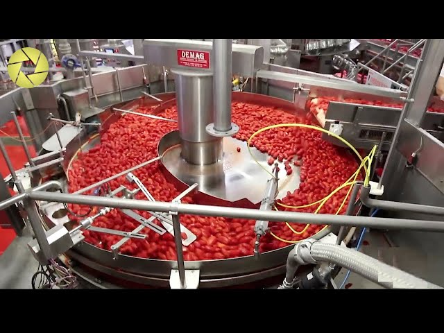Incredible Modern Food Industry Automated Machine Worth Watching