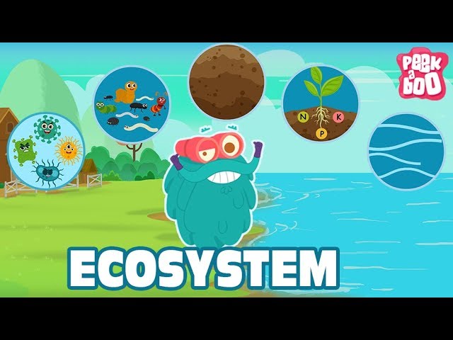 ECOSYSTEM - The Dr. Binocs Show | Best Learning Videos For Kids | Peekaboo Kidz