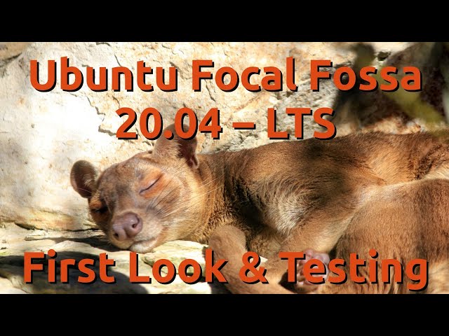 Ubuntu Focal Fossa (20.04 LTS) First Look
