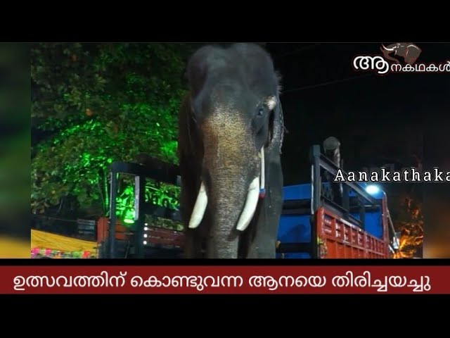 ഉത്സവത്തിന് എത്തിയ ആനയെ എഴുന്നള്ളിക്കാതെ തിരിച്ചുവിട്ടു | Manissery kochayyappan elephant