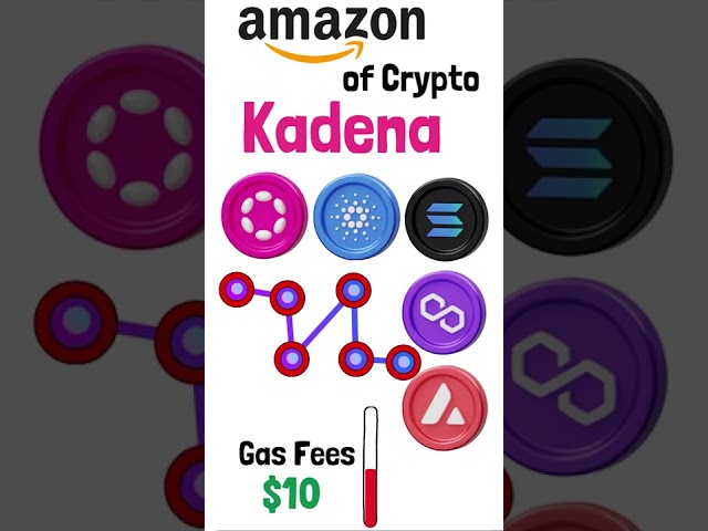 Why Kadena is the Amazon of Crypto!