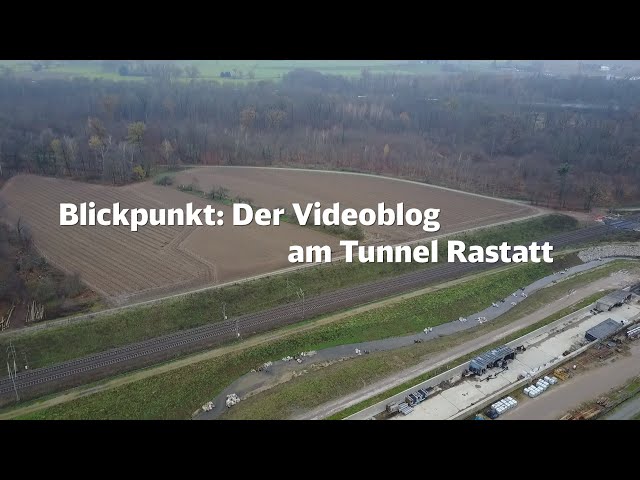 Blickpunkt Tunnel Rastatt | Das ist grün: Aufforstung in Niederbühl | Folge 3