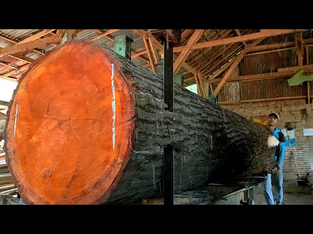 extreme proses penggergajian kayu mahoni besar bahan baku papan meja gereja Ortodok rusia.