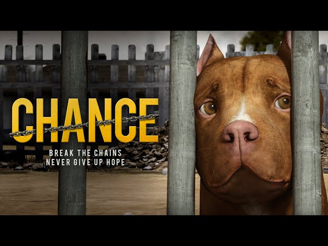 Chance (2019) Full Animated Movie Free - Eddie Goines, Simone Baker, Kenny Young