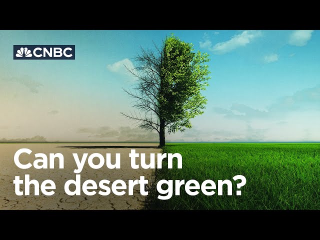 How the UAE is turning its desert green
