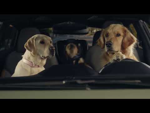 Subaru Ads - Dog Tested