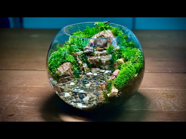 【moss terrarium】Making a moss terrarium with a waterfall