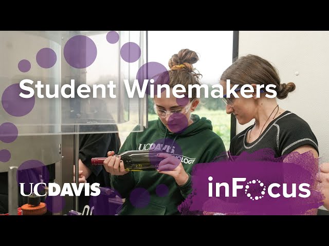 Vineyard to Bottle: The Journey of Student Winemakers